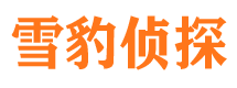 淳化市婚姻出轨调查